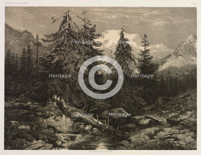 Alpine Stream. Creator: Alexandre Calame (Swiss, 1810-1864).