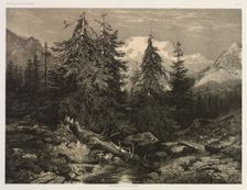 Alpine Stream. Creator: Alexandre Calame (Swiss, 1810-1864)