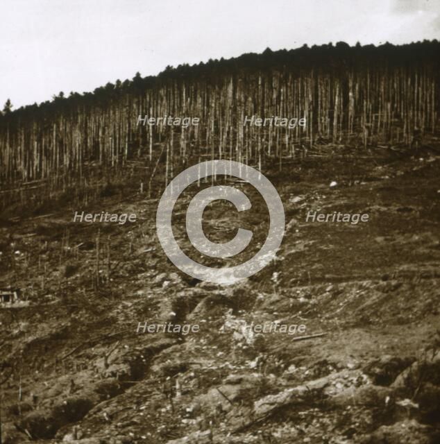 Alsace, c1914-c1918. Artist: Unknown.