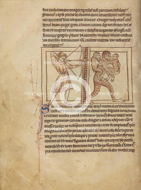 Apes; Northumberland Bestiary, about 1250-1260. Creator: Unknown.