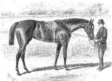 Apology, the Winner of the Gold Cup at Ascot, 1876. Creator: John Sturgess
