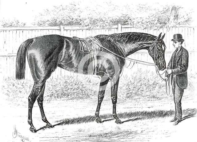 Apology, the Winner of the Gold Cup at Ascot, 1876. Creator: John Sturgess.