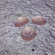 Apollo 16 - NASA, 1972. Creator: NASA