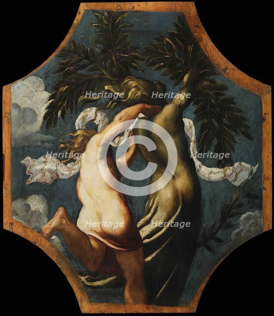 Apollo and Daphne, ca 1541. Creator: Tintoretto, Jacopo (1518-1594).