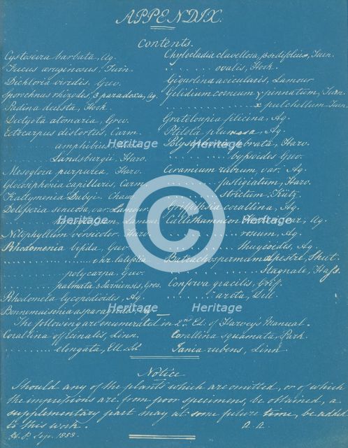 Appendix, ca. 1853. Creator: Anna Atkins.