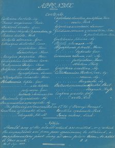 Appendix, ca. 1853. Creator: Anna Atkins