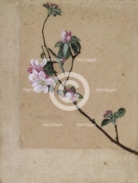 'Apple Blossom', 1869. Artist: Walter Crane.