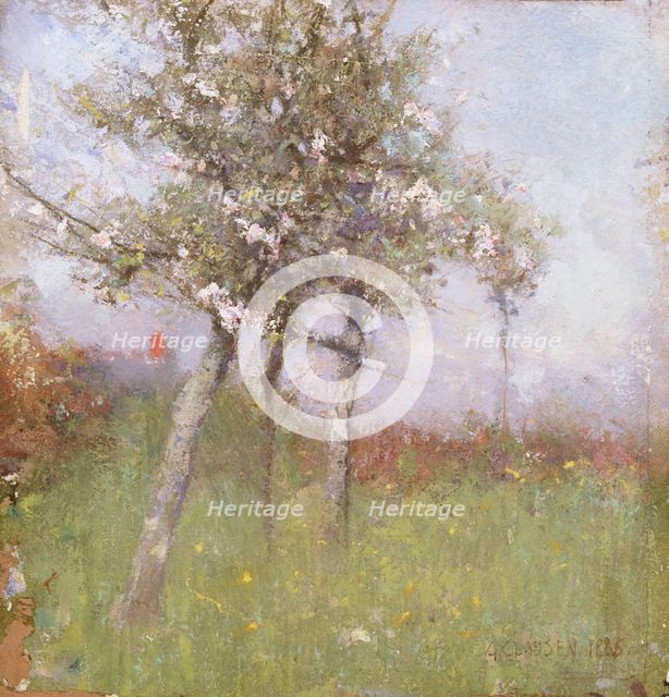 Apple blossom, 1885. Creator: George Clausen.