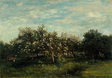 Apple Blossoms, 1873. Creator: Charles Francois Daubigny