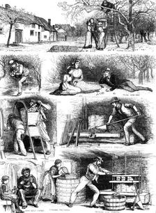 Apple-gathering and cider-making in Devonshire, 1883. Creator: Unknown
