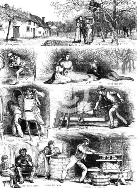 Apple-gathering and cider-making in Devonshire, 1883. Creator: Unknown.