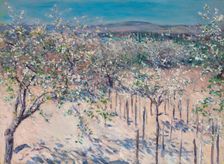 Apple orchard in bloom, Colombes, 1883. Creator: Caillebotte, Gustave (1848-1894)
