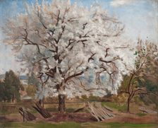 Apple Tree in Blossom, 1877. Creator: Carl Fredrik Hill