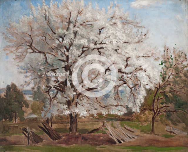 Apple Tree in Blossom, 1877. Creator: Carl Fredrik Hill.