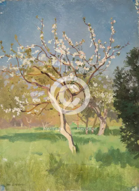 Apple-Tree in Blossom, 1897. Creator: Jan Stanislawski.