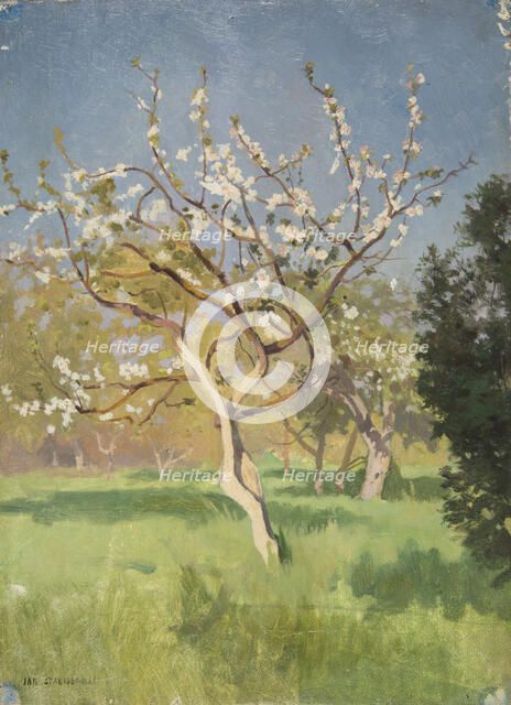 Apple-Tree in Blossom, 1897. Creator: Jan Stanislawski.