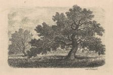 Apple Trees, 1870s-1880s. Creator: Carl C. Brenner