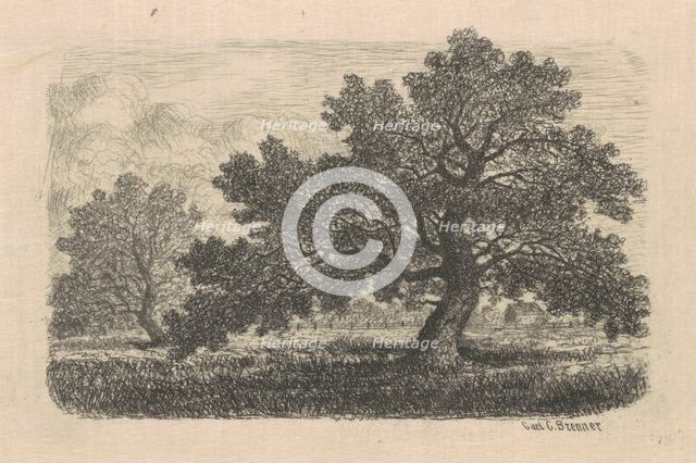 Apple Trees, 1870s-1880s. Creator: Carl C. Brenner.