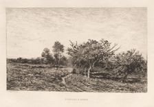 Apple Trees at Auvers (Pommiers à Auvers), 1877. Creator: Charles François Daubigny (French, 1817-1878)