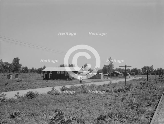Approach to the Delta cooperative farm from highway, Hillhouse, Mississippi, 1937. Creator: Dorothea Lange.
