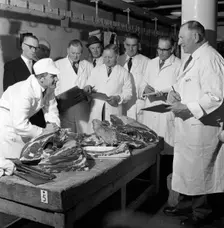 Apprentice butcher showing his work to competition judges, Barnsley, South Yorkshire, 1963. Creator: Michael Walters