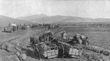 Apres la prise de Monastir; les difficultes du ravitaillement sur les routes de la vallee..., 1916. Creator: Unknown
