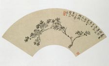 Apricot, 19th century. Creator: Wu Xizai