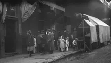 Apricot Spring Orchard drugstore, Chinatown, San Francisco, between 1896 and 1906. Creator: Arnold Genthe