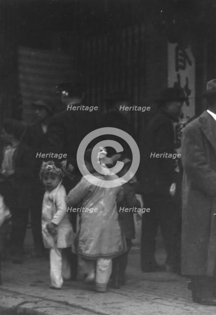 Apricot Spring Orchard drugstore, Chinatown, San Francisco, between 1896 and 1906. Creator: Arnold Genthe.