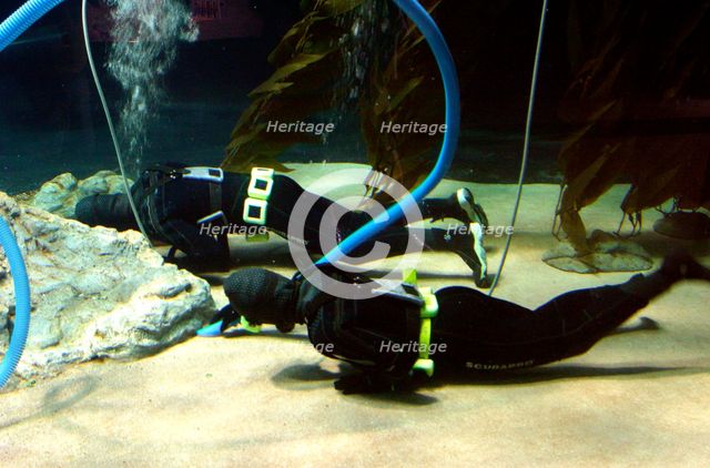 Aquarium cleaners, Loro Parque, Tenerife, Canary Islands, 2007. Creator: Peter Thompson.