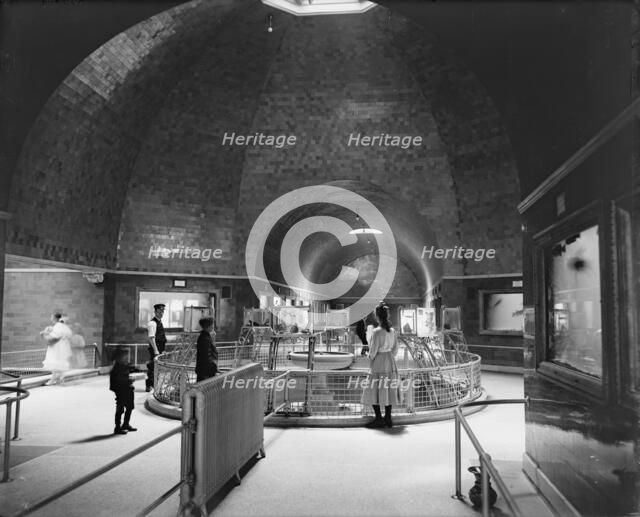 Aquarium, Belle Isle Park, interior, Detroit, Mich., between 1900 and 1910. Creator: Unknown.