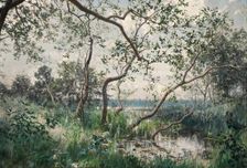 Aquatic Vegetation - Motif from Ostergotland, 1885. Creator: Johan Krouthén