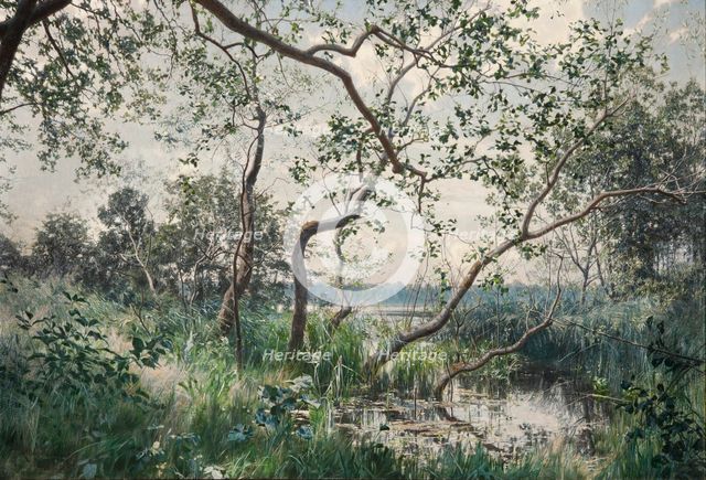 Aquatic Vegetation - Motif from Ostergotland, 1885. Creator: Johan Krouthén.