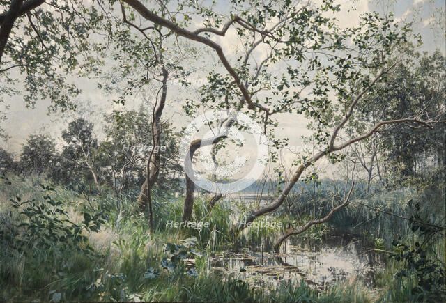 Aquatic Vegetation - Motif from Ostergotland, 1885. Creator: Johan Krouthén.