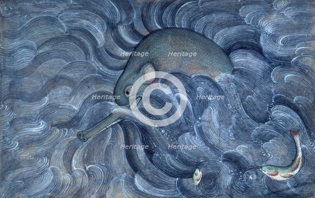 Aquatic beast, 1590. Creator: Sarwan.