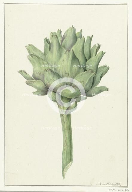 Artichoke, 1797. Creator: Jean Bernard.
