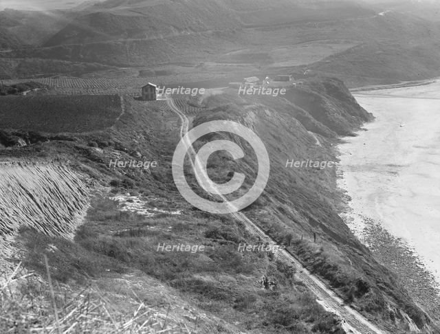Artichoke farms reach to the water's edge, near Half Moon Bay, California coast , 1938. Creator: Dorothea Lange.