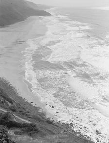 Artichokes are grown along here, near Half Moon Bay, California coast, 1938. Creator: Dorothea Lange