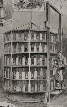 Artificial hatching of hen eggs by the Baker method - supply of bait for layer chicks, 1878. Creator: Unknown