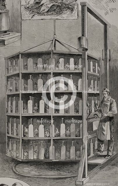 Artificial hatching of hen eggs by the Baker method - supply of bait for layer chicks, 1878. Creator: Unknown.