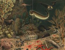 Artist's impression of deep sea scene with luminous fishes, 1903. Creator: Unknown