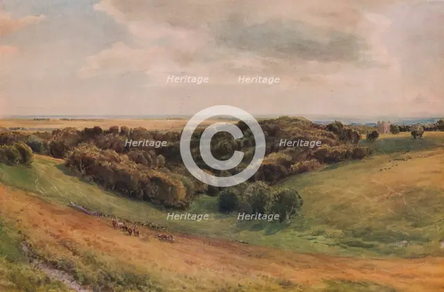 'Arundel Park', 1874. Artist: Thomas Collier.