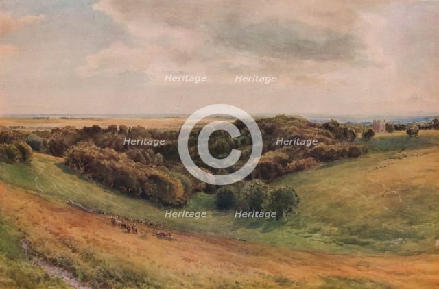 'Arundel Park', 1874. Artist: Thomas Collier.