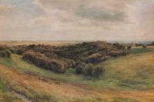 Arundel Park 1874. Artist: Thomas Collier
