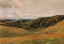 Arundel Park, with Deer 1880. Artist: Thomas Collier