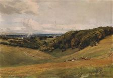 Arundel Park, with Deer 1880. Artist: Thomas Collier