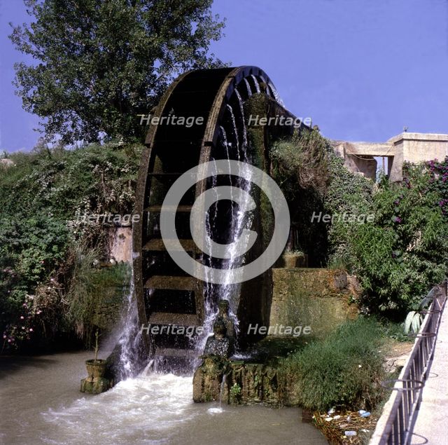 Arab waterwheel in the Huerta Museum (Vegetable garden Museum).