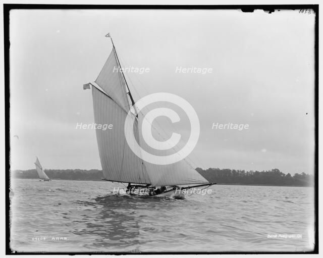 Arab, between 1886 and 1899. Creator: Unknown.