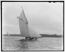 Arab, between 1886 and 1899. Creator: Unknown