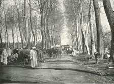 Arab fair and market Boufarik, Algeria, 1895. Creator: Poulton & Co